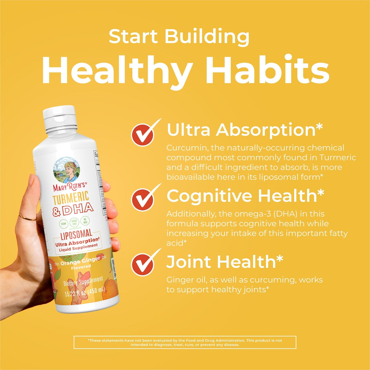 Turmeric & DHA Liposomal (Orange Ginger) 15 oz Healthy Habits
