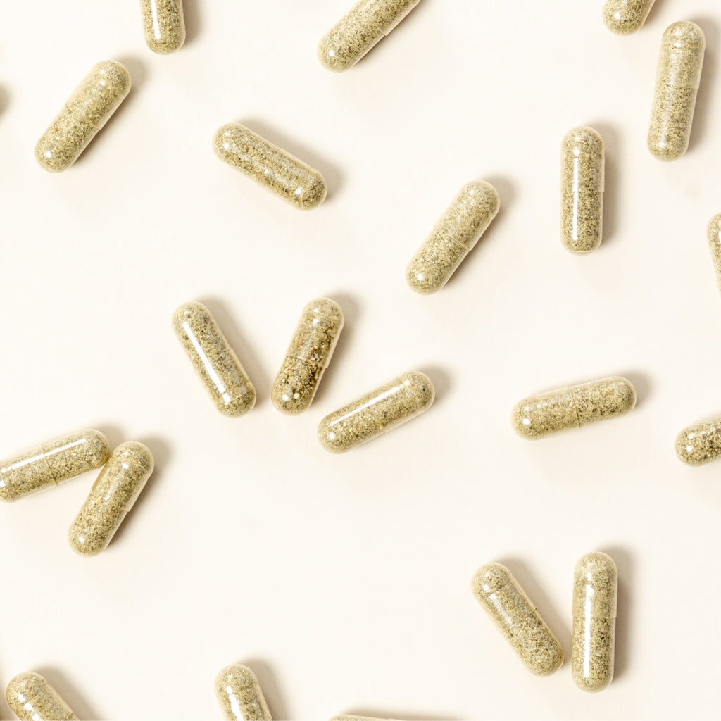 Probiotic Prenatal+ 60 Capsules Lifestyle Capusles
