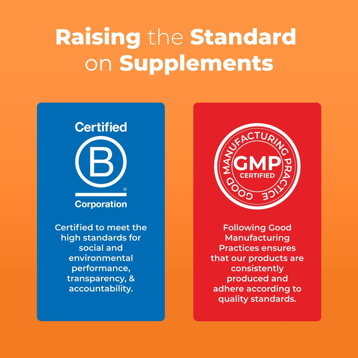 Adult Multivitamin Gummies 6